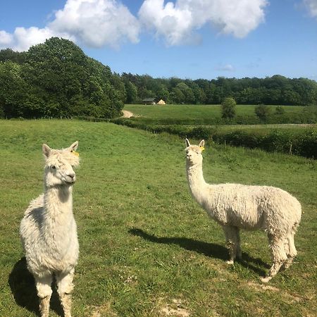Swallows Oast Glamping Sedlescombe Zewnętrze zdjęcie