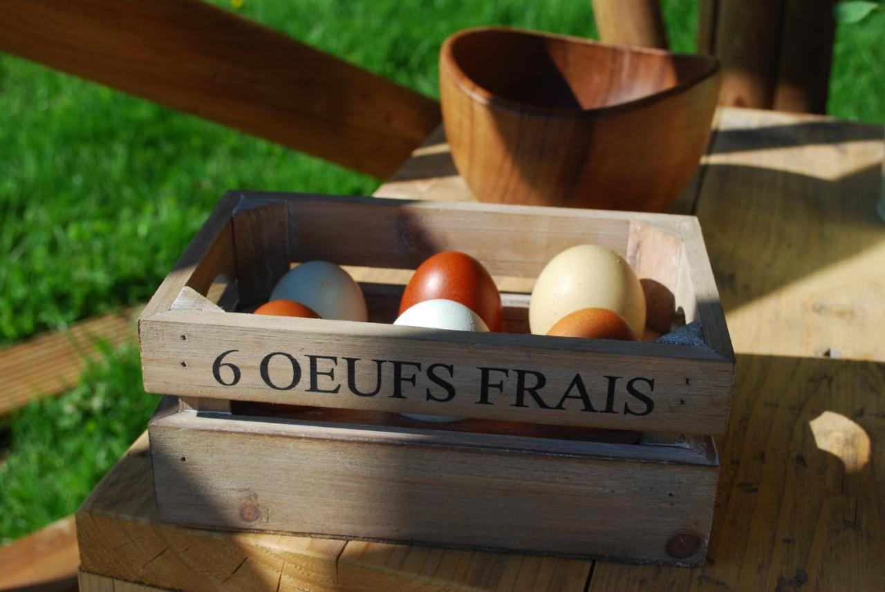 Swallows Oast Glamping Sedlescombe Zewnętrze zdjęcie